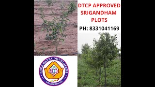 DTCP APPROVED SRIGANDHAM PLANTATION PLOTS  Thirumalapur Near Shadnagar  SREE DATTA DEVELOPERS [upl. by Erbes]