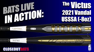 Closeoutbatscom Victus Vandal 234quot Big Barrel USSSA Bat VSBVX8 8oz 2021 [upl. by Atiuqahc]