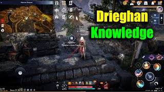 Black Desert Mobile Drieghan Knowledge [upl. by Aicilana]