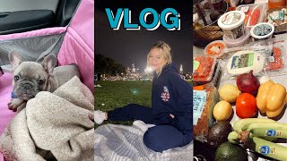 vlog new planner laser appointment amp watching the VP debate  maddie cidlik [upl. by Anertak]