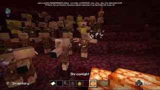 Minecraft Piglin Dance [upl. by Helene]