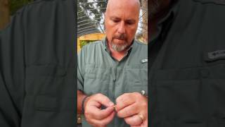 PLUMERIA SEED GERMINATION Easiest Technique [upl. by Crutcher529]