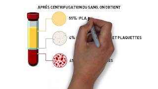 Milieu intérieur Part 02  Les compartiments liquidiens de lorganisme [upl. by Fabyola745]