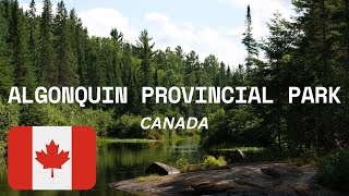 ALGONQUIN PROVINCIAL PARK CANADAS NATURAL GEM  Things To Do And Guide  CANADA TRAVEL algonquin [upl. by Veriee]