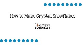 How to Make Borax Crystal Snowflakes [upl. by Moe897]