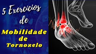 5 EXERCÍCIOS PARA MOBILIDADE DE TORNOZELO ANKLE MOBILITY [upl. by Opiak63]