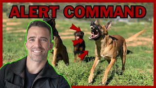 How to Train Your Dog to Alert on Command [upl. by Tonneson]