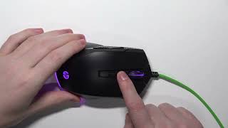 How To Change DPI on HP Pavilion Mouse 200 Gaming – Mouse Settings [upl. by Ieluuk]