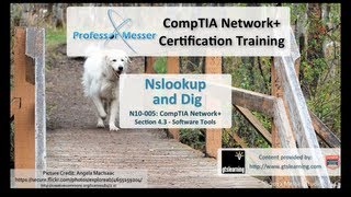 DNS Management with Nslookup and Dig  CompTIA Network N10005 43 [upl. by Smada717]