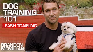 Dog Training 101 Leash Training  Brandon McMillan [upl. by Weissberg]