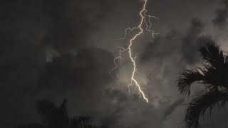 Tropical Thunderstorm amp Rain Sounds For Sleeping Relaxing  Rumbling Storm Equatorial Ambience [upl. by Akcirederf]