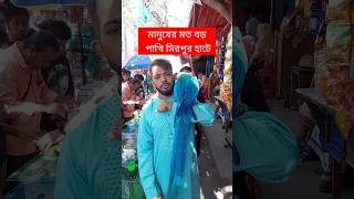 মানুষের মতো বড় পাখি মিরপুর হাটে  পাখি  Pakhi  মিরপুর ১ পাখির হাট  টিয়া পাখি  Tiya Pakhi short [upl. by Notnyw669]