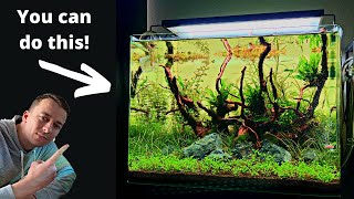 Complete Aquascaping Beginners Guide  Learn ALL The Basics [upl. by Arica]