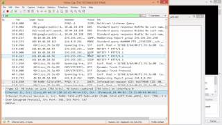 VLAN analysis With Wireshark [upl. by Eladroc]