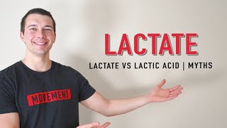 Lactate vs Lactic Acid Explained  Muscle Physiology [upl. by Ipoillak365]