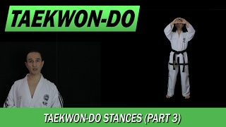 TaekwonDo Stances Part 3 [upl. by Ennaul999]