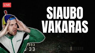 Siaubo Vakaras [upl. by Ravo832]