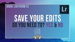 Saving Your Edits in Lightroom [upl. by Enileuqcaj483]