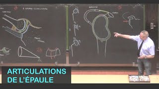 Anatomie des articulations de lépaule Membre supérieur 1 [upl. by Hareehat317]