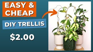 EASIEST Indoor Plant Trellis DIY StepbyStep Tutorial [upl. by Rafaelle676]