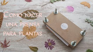 Como hacer una prensa para secar y conservar plantas [upl. by Ahsead960]