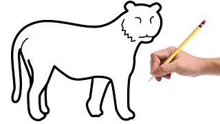 How to Draw a Tiger for Kids [upl. by Niall855]