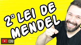 2 LEI DE MENDEL  GENÉTICA  Aula  Biologia com Samuel Cunha [upl. by Primaveria]