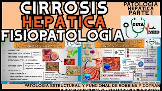 CIRROSIS HEPÁTICA FISIOPATOLOGÍA  GuiaMed [upl. by Blackwell]