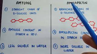 Difference between amylose and amylopectin  starch is made up of  Amylose and amylopectin [upl. by Elish]