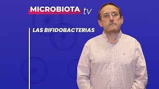 Bifidobacterias ¿qué son y para qué sirven [upl. by Aisnetroh]