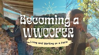 Starting My Sustainable Living Journey with WWOOFING [upl. by Enibas]