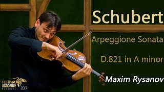 Schubert Arpeggione Sonata D821 in A minor ♪ [upl. by Mapel]