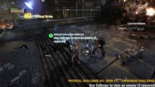 Batman Arkham City  Catwoman Physical Challenges [upl. by Anelec]