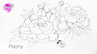 Easy Way To Draw Peony For Beginners  STEP BY STEP Drawing Tutorial [upl. by Unhsiv]