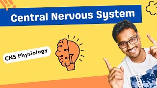 Introduction to Central Nervous System [upl. by Joappa204]