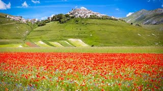 Castelluccio di Norcia periodo della fioritura quando andare [upl. by Hayikat]