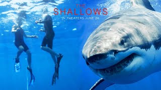 The Shallows 2016 Movie  Blake Lively Óscar Jaenada Brett Cullen updates Review and Facts [upl. by Ariaet]