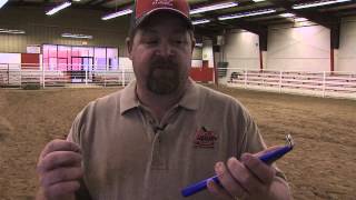 How to Castrate a Male Goat Using an Elastrator Banding [upl. by Conlee]