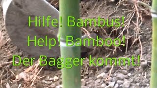 Hilfe Bambus Der Bagger kommt [upl. by Harve]