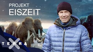 Zurück in die Eiszeit in drei Schritten  Dirk Steffens  Terra X [upl. by Colp113]