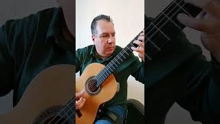 Verano Porteño by Astor Piazzolla  Performed by Megerdich Mikayelian [upl. by Netaf]