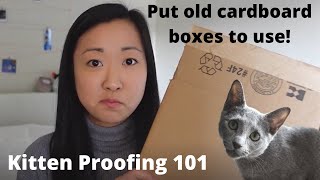 How to KittenProof your Apartment [upl. by Taran]