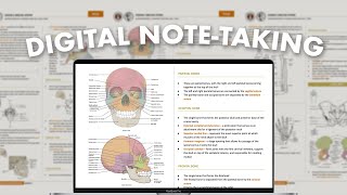 digital notetaking system pt 1 ✍🏻 how i take neat amp effective notes on google docs [upl. by Helbonnas]