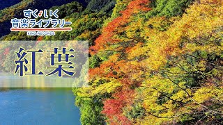 紅葉Momizi／歌いだし♪あきのゆうひに／見やすい歌詞つき【日本の歌Japanese traditional song】 [upl. by Gonzalo40]