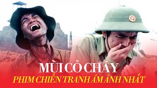 MÙI CỎ CHÁY Chiến tranh ĐAU ĐỚN đến thế nào [upl. by Leora807]