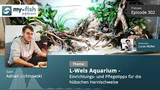 myfishorg  LWels Aquarium  Einrichtungs amp Pflegetipps für die Harnischwelse Adrian Lichnowski [upl. by Ehud]