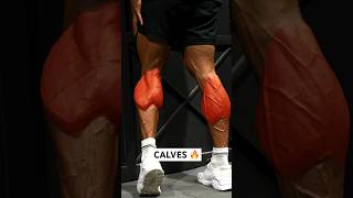 Serious CALVES workout 🔥 shorts [upl. by Atekan]