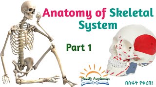 Respiratory System Physiology Part 2 Helpful Video Lecture in Amharic Speech [upl. by Nehtanoj119]