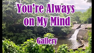 Youre Always On My Mind by Gallery LYRICS [upl. by Ahsinod880]