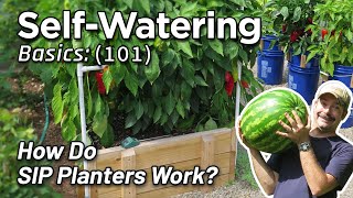 Selfwatering Planter Basics How to Design DIY Gardening Subirrigated Wicking Beds Albopepper [upl. by Anauqed]